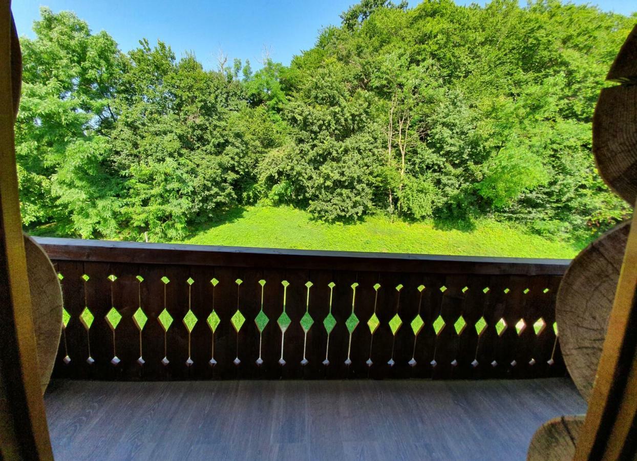 Hotel Casa Cartianu Târgu Jiu Exteriér fotografie